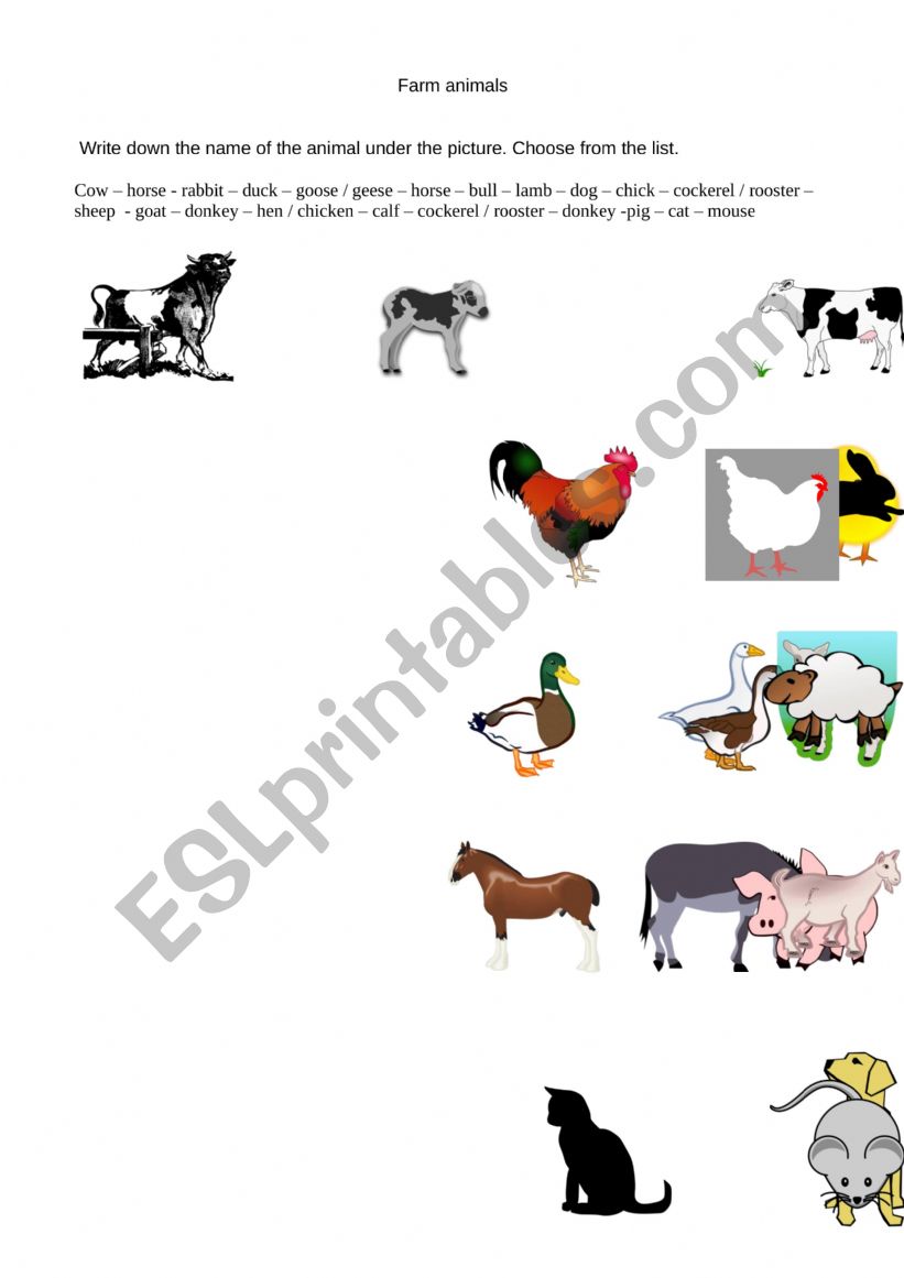 Farm animals worksheet