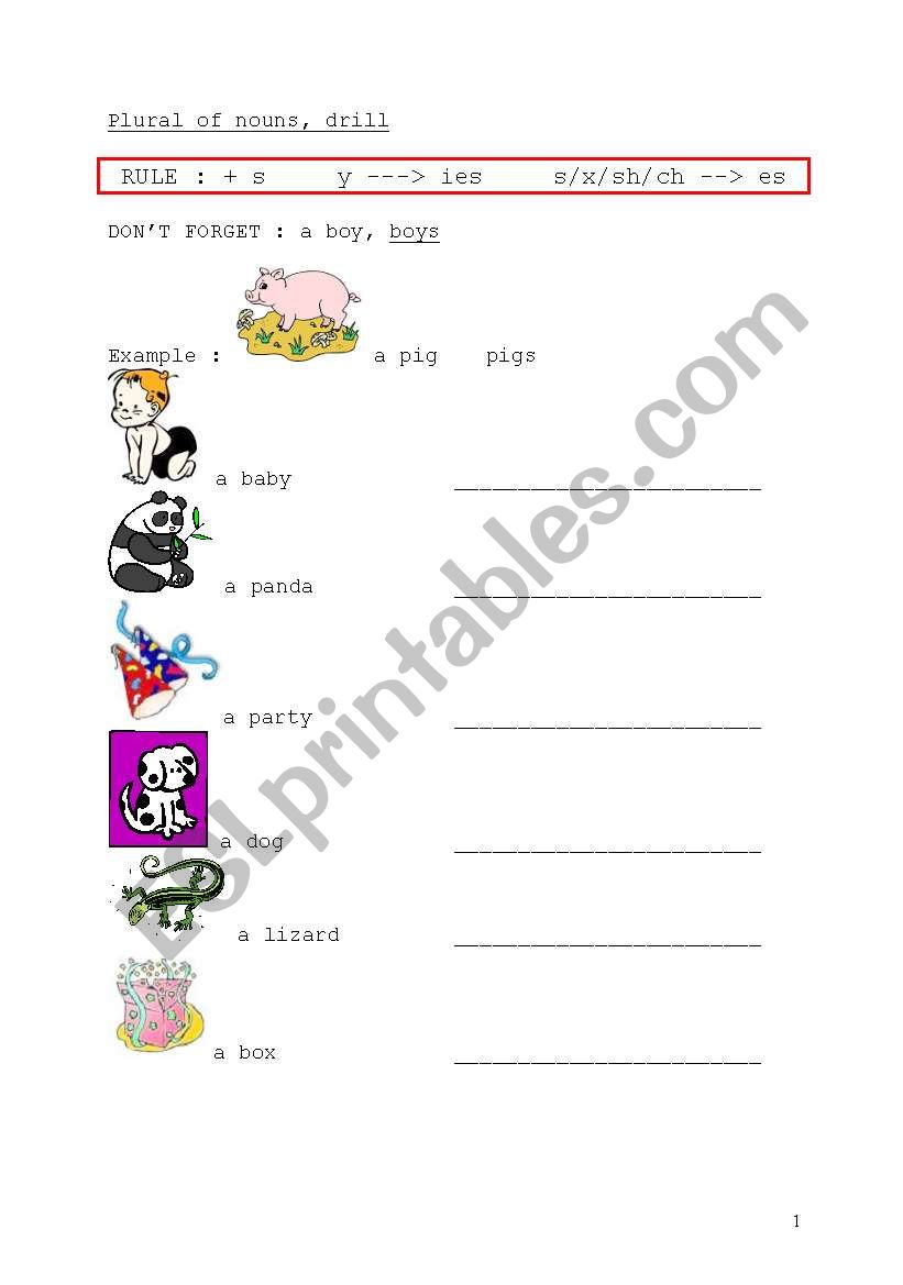 Plural of nouns, illustrated drill 1