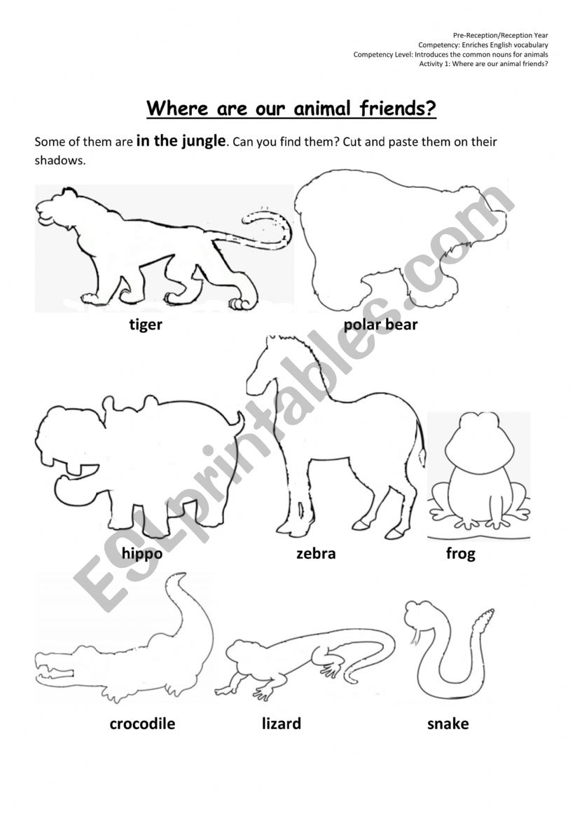 Animal Vocabulary worksheet