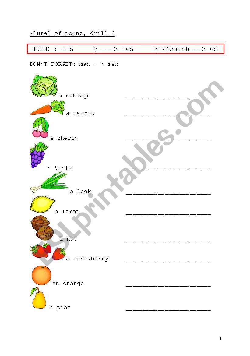 Plural of nouns, illustrated drill 2