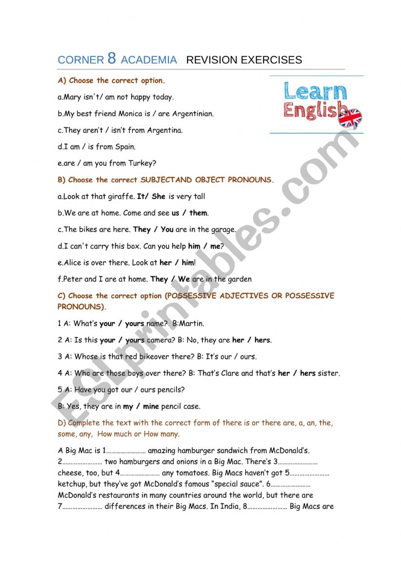 GRAMMAR REINFORCEMENT worksheet