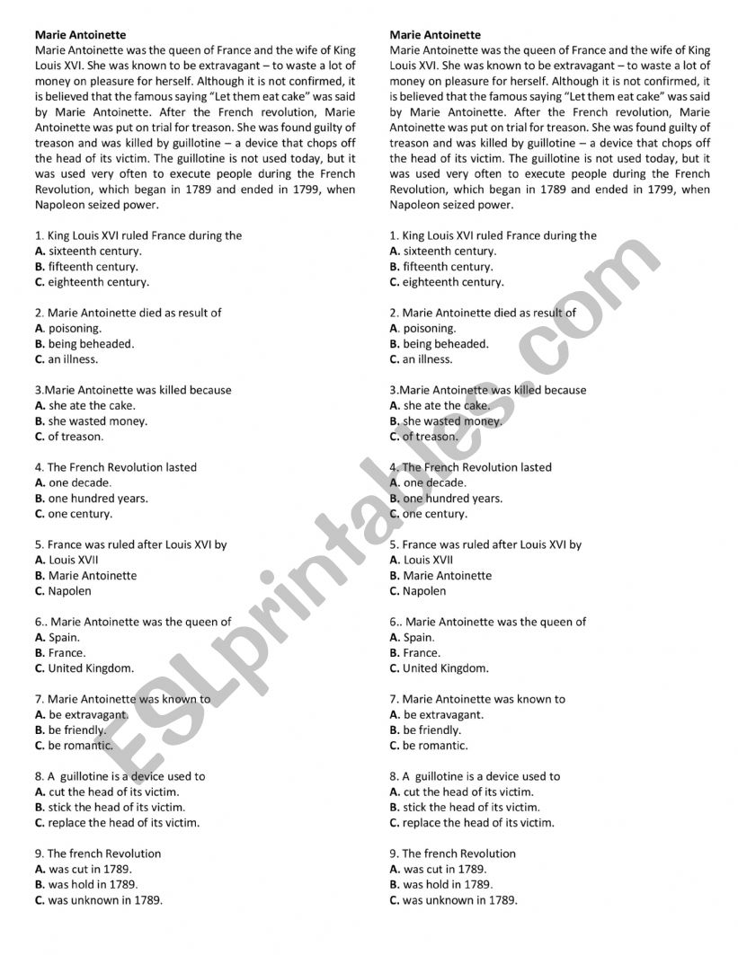 reading comprehension worksheet