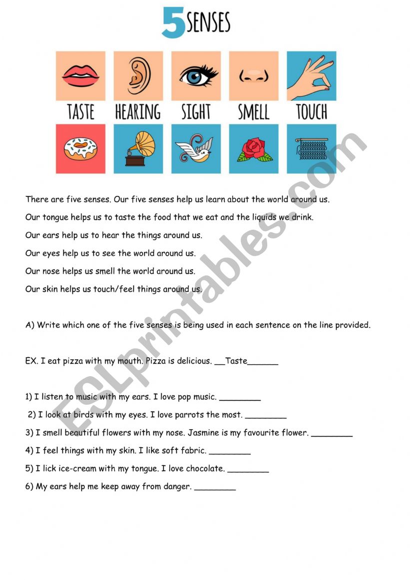 five senses  worksheet