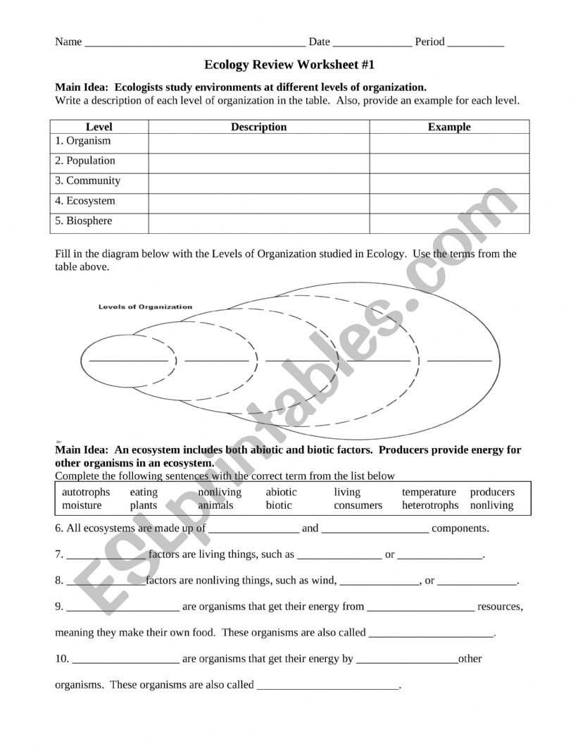 Ecology Worksheet worksheet