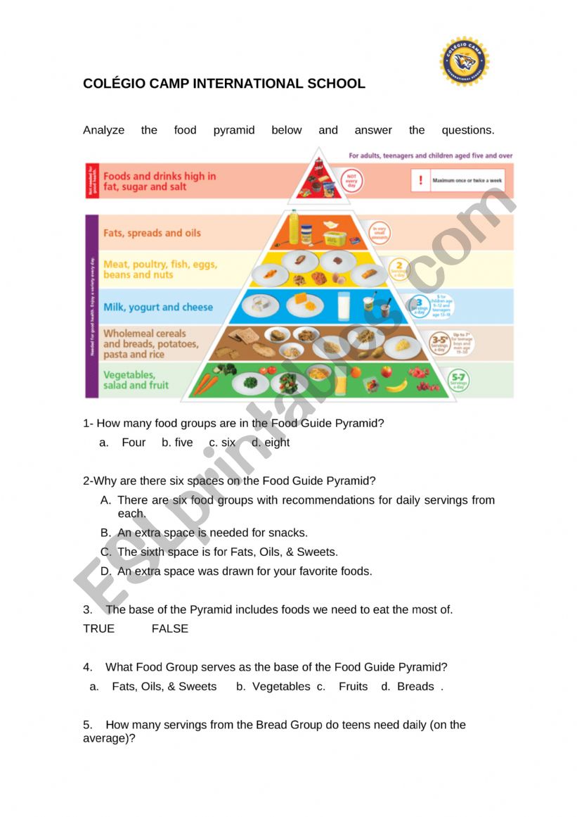 Food Pyramid worksheet