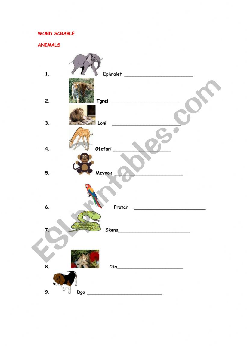Animals -word scrabble  worksheet