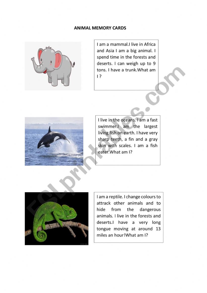 ANIMAL MEMORY CARD GAME worksheet