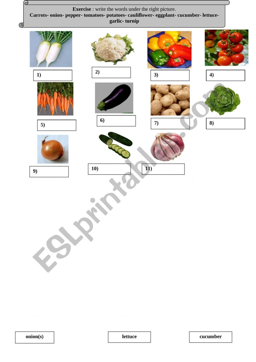 Vegetables worksheet