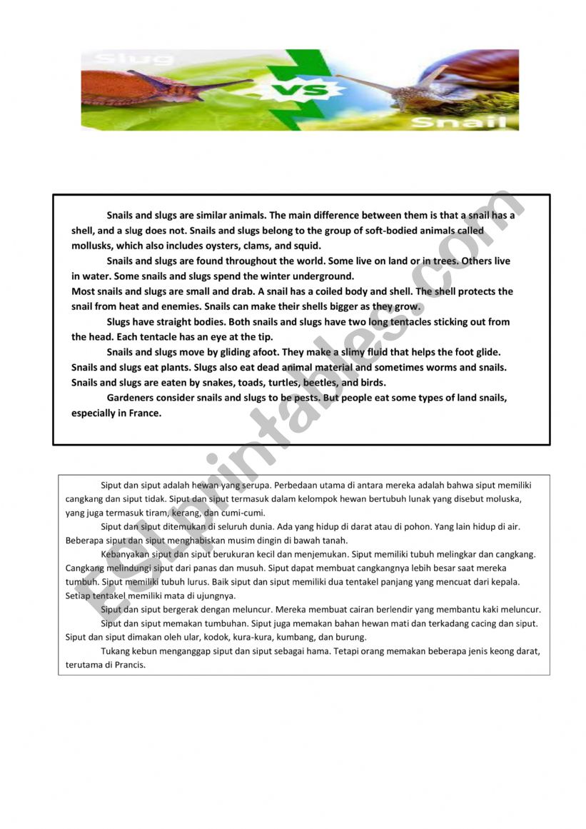 descriptive text worksheet