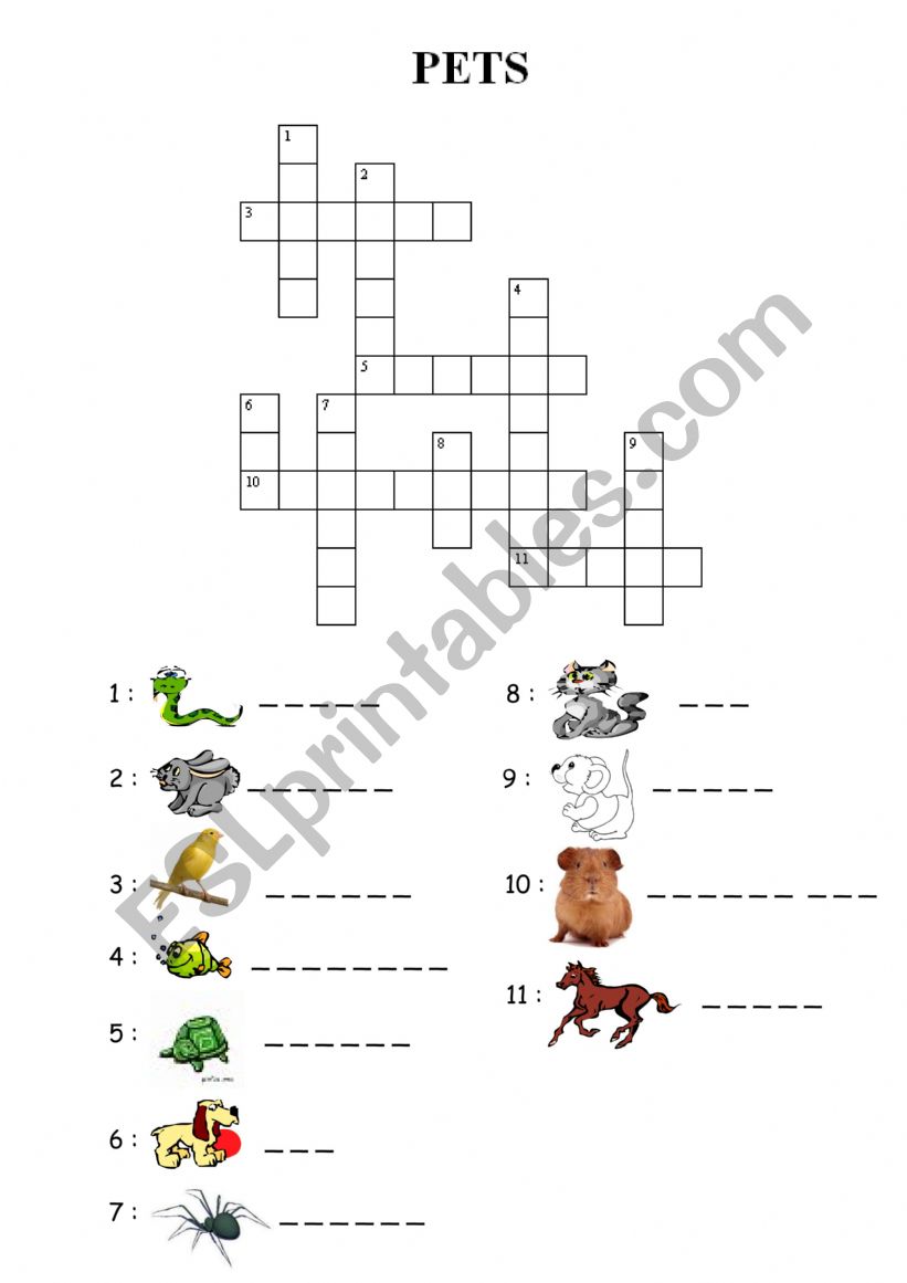 pets worksheet