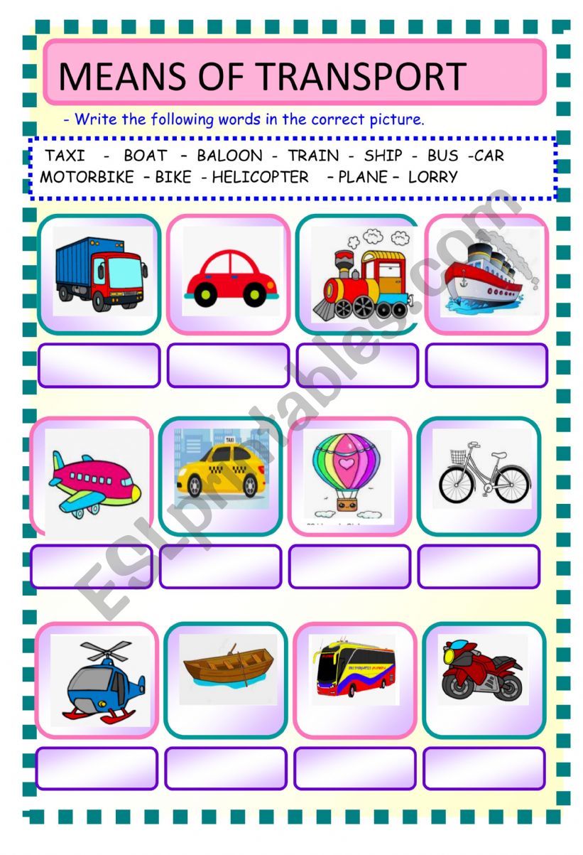 Transport worksheet