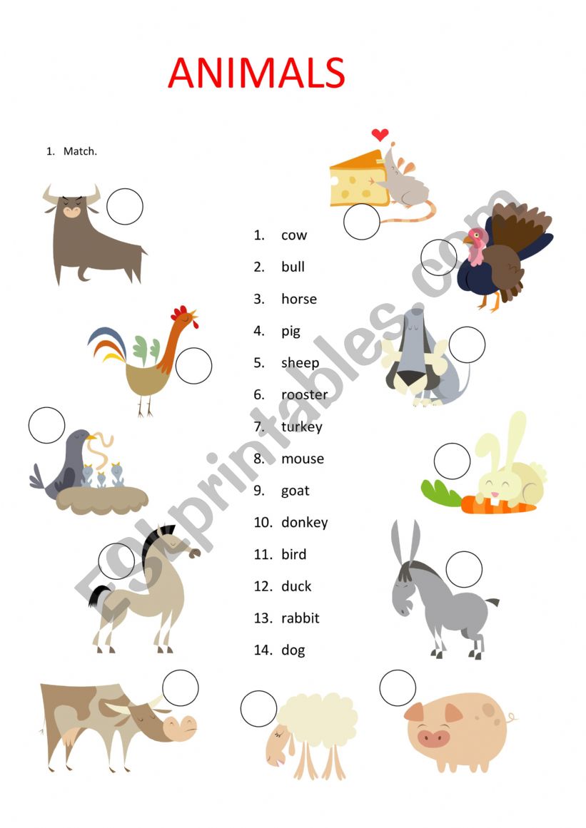 Animals worksheet