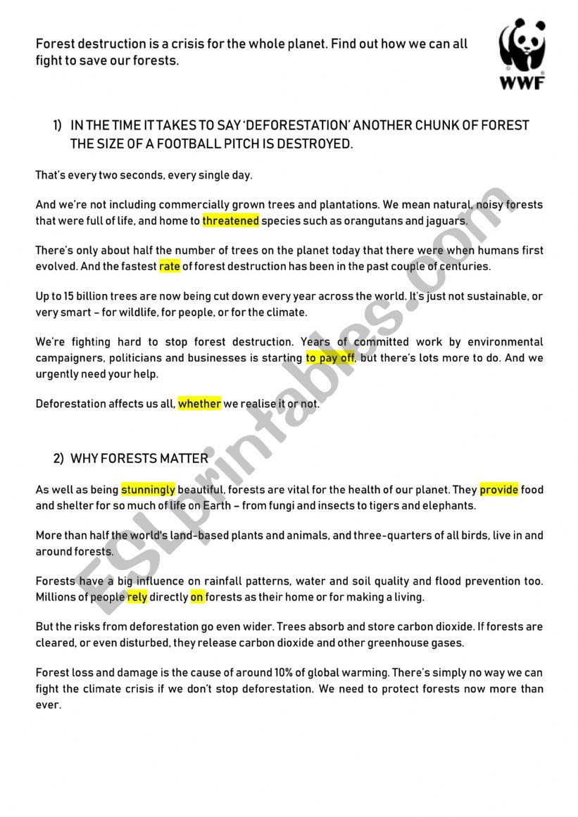 The effects of deforestation worksheet