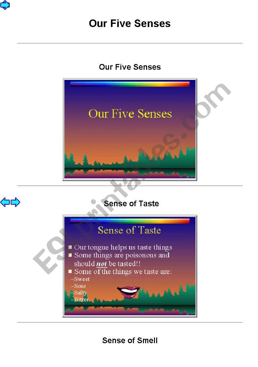 the five senses worksheet