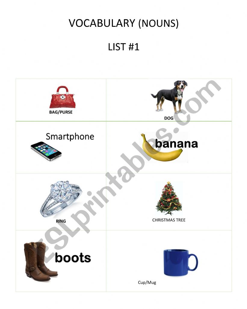 Vocabulary worksheet