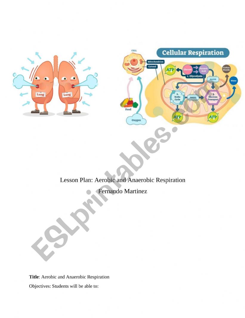 Cellular Respiration worksheet