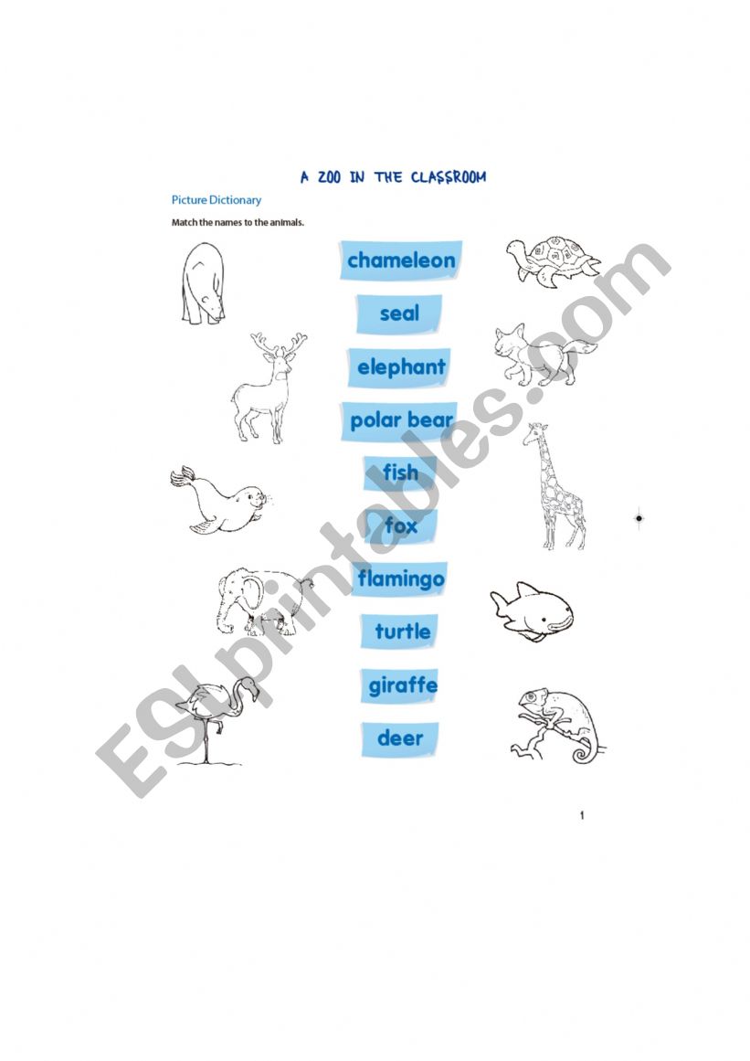 Animals worksheet