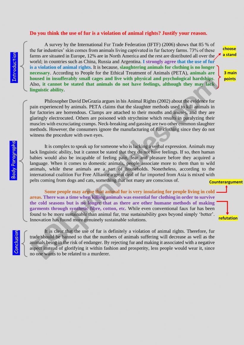 Argumentative essay (EDITABLE)