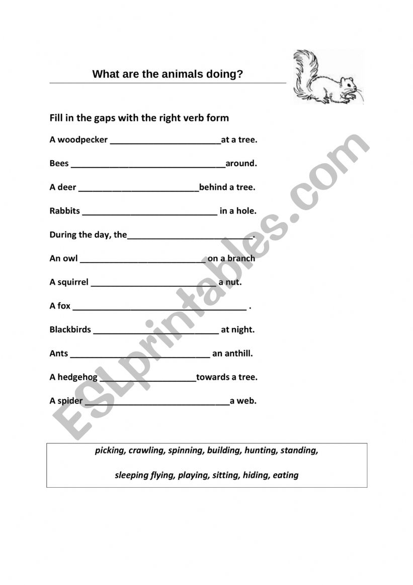 What are the animals doing worksheet