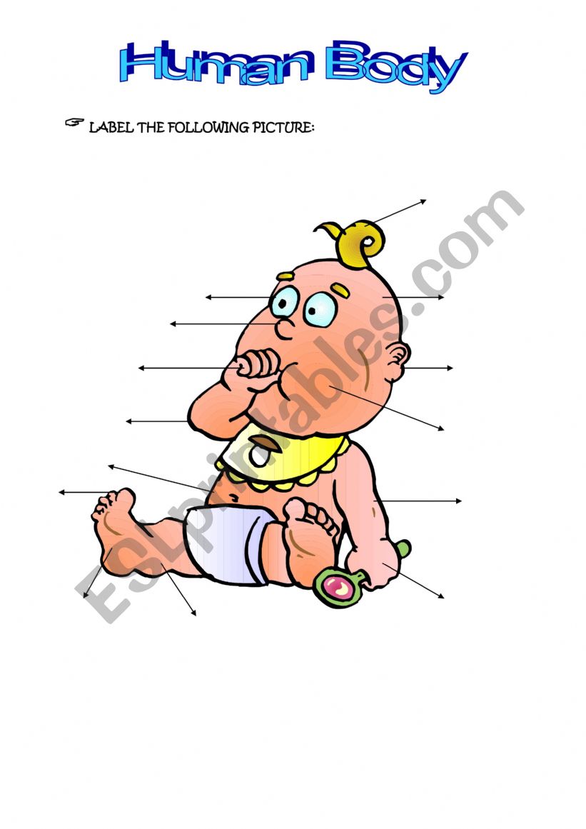 label the human body worksheet