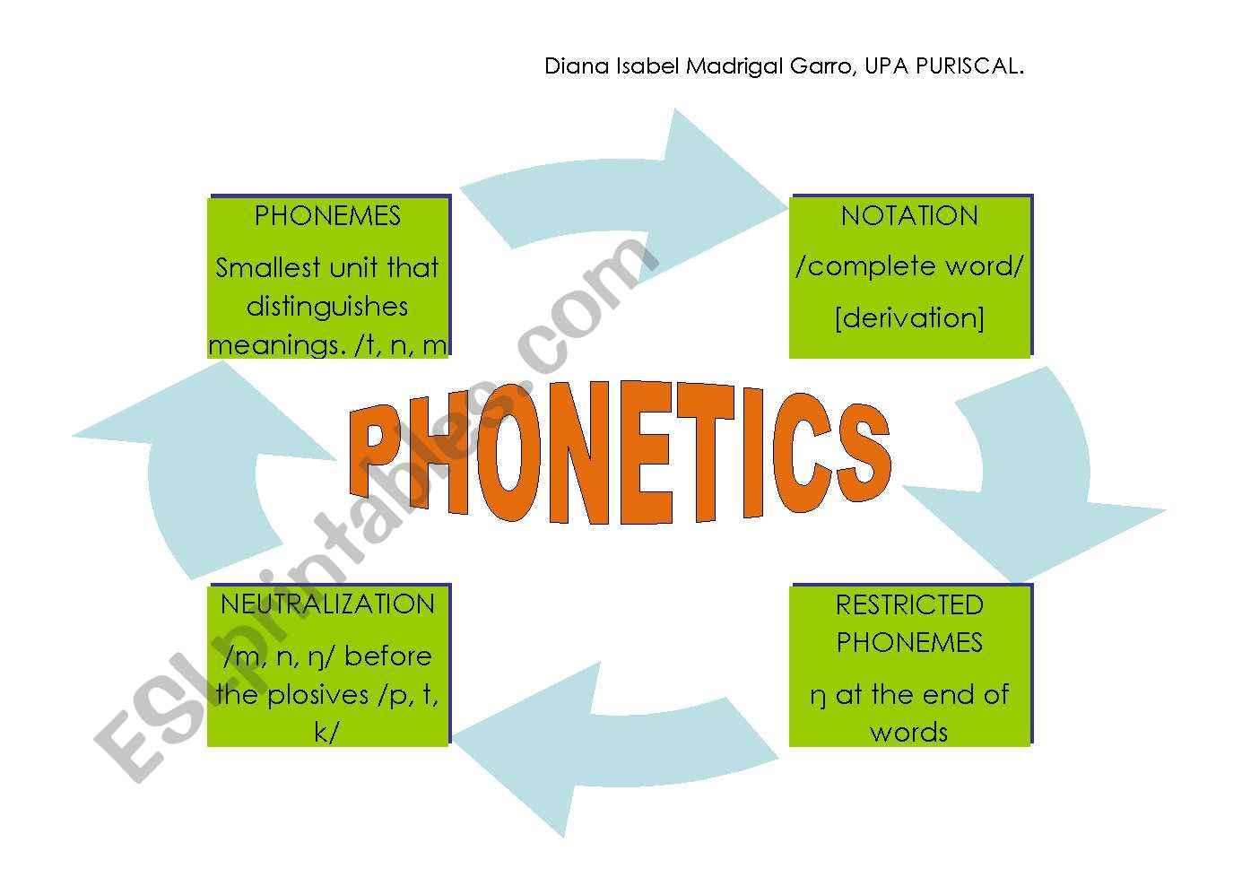 PHONETICS INFORMATION worksheet