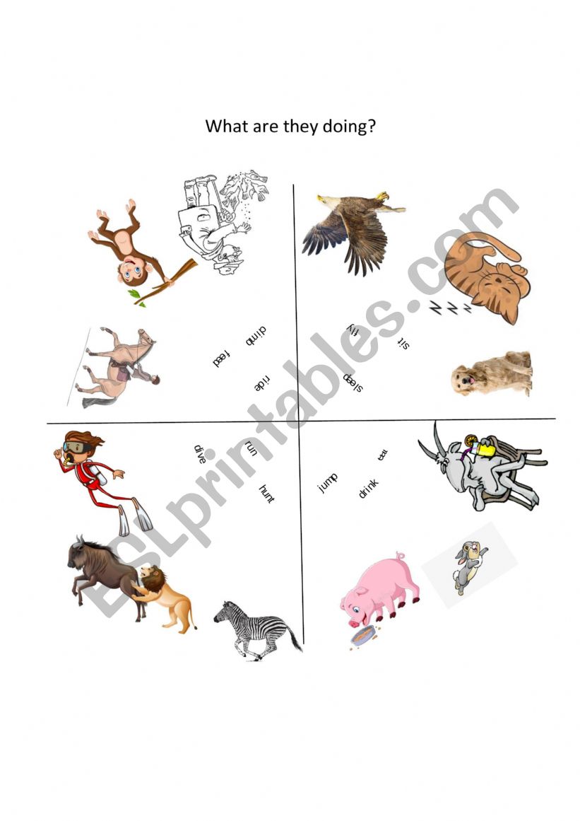 Present Continuous - group revision activity