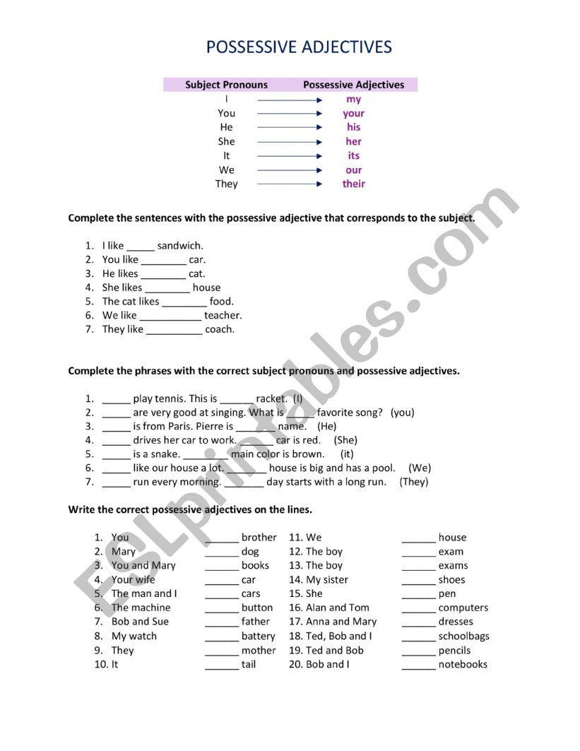 Possessive adjectives worksheet