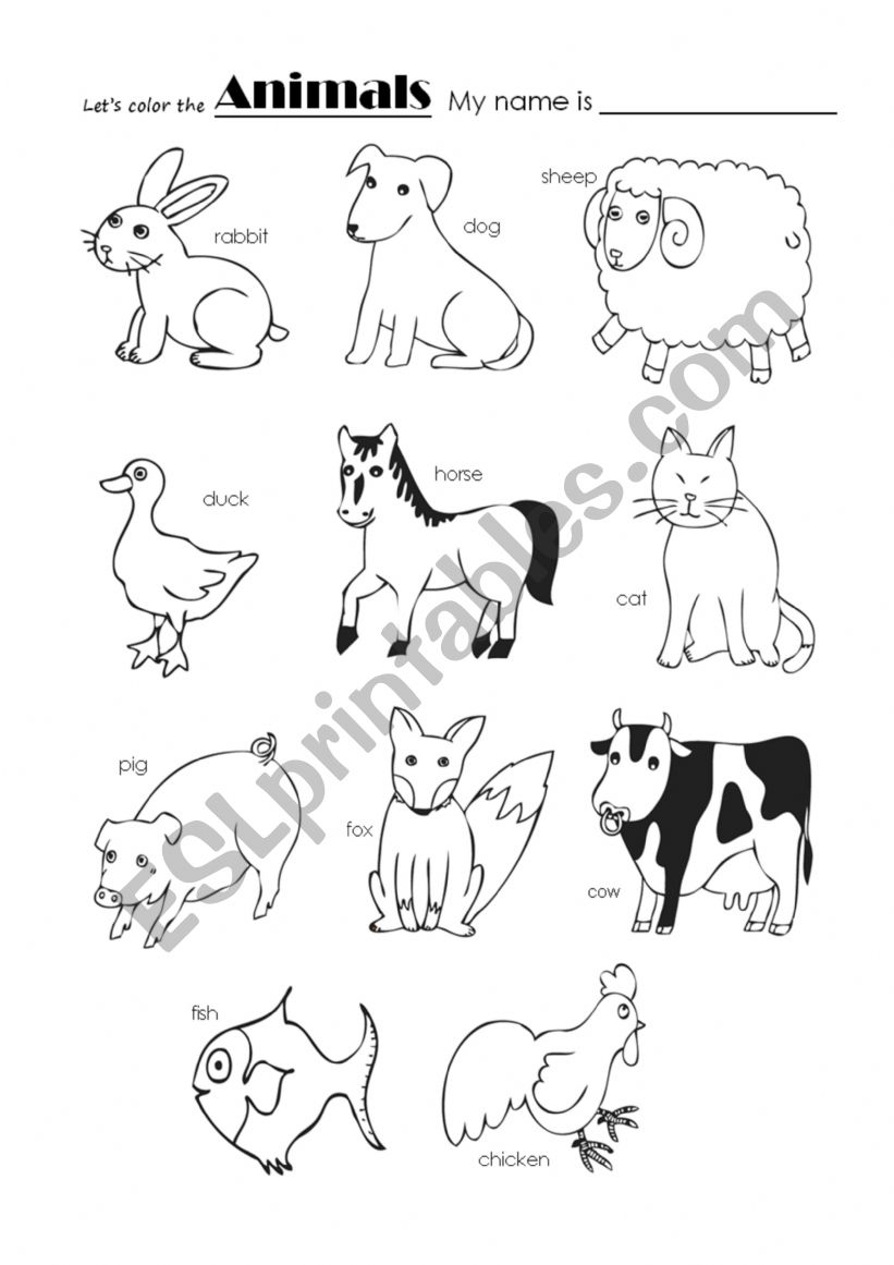 Animals and colors worksheet