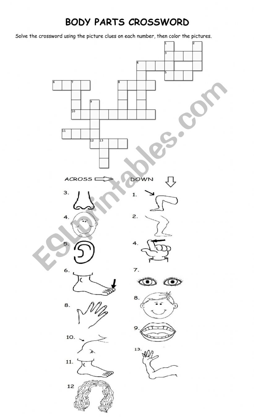 Body Parts Crossword for coloring