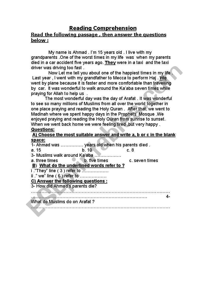 Reading Comprehension worksheet