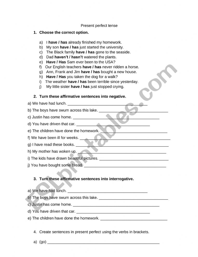 Present Perfect  worksheet