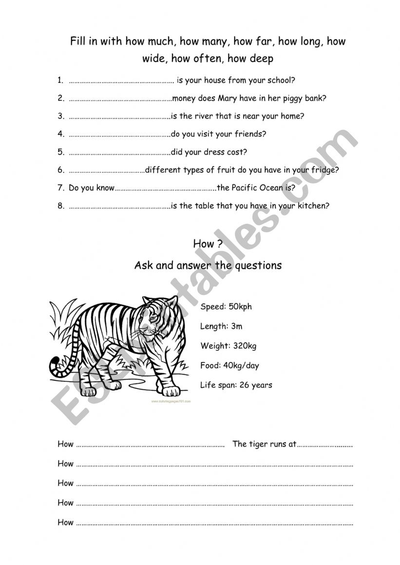 How +adj worksheet