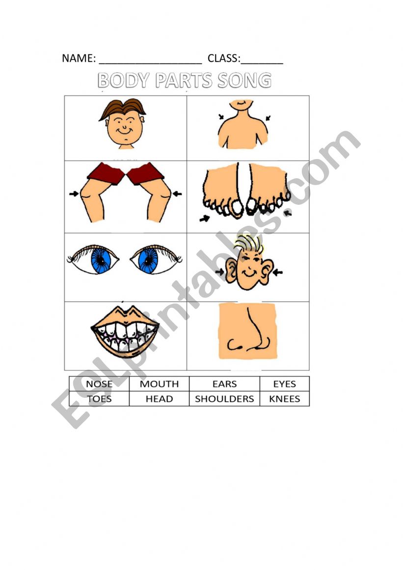 Body parts song worksheet
