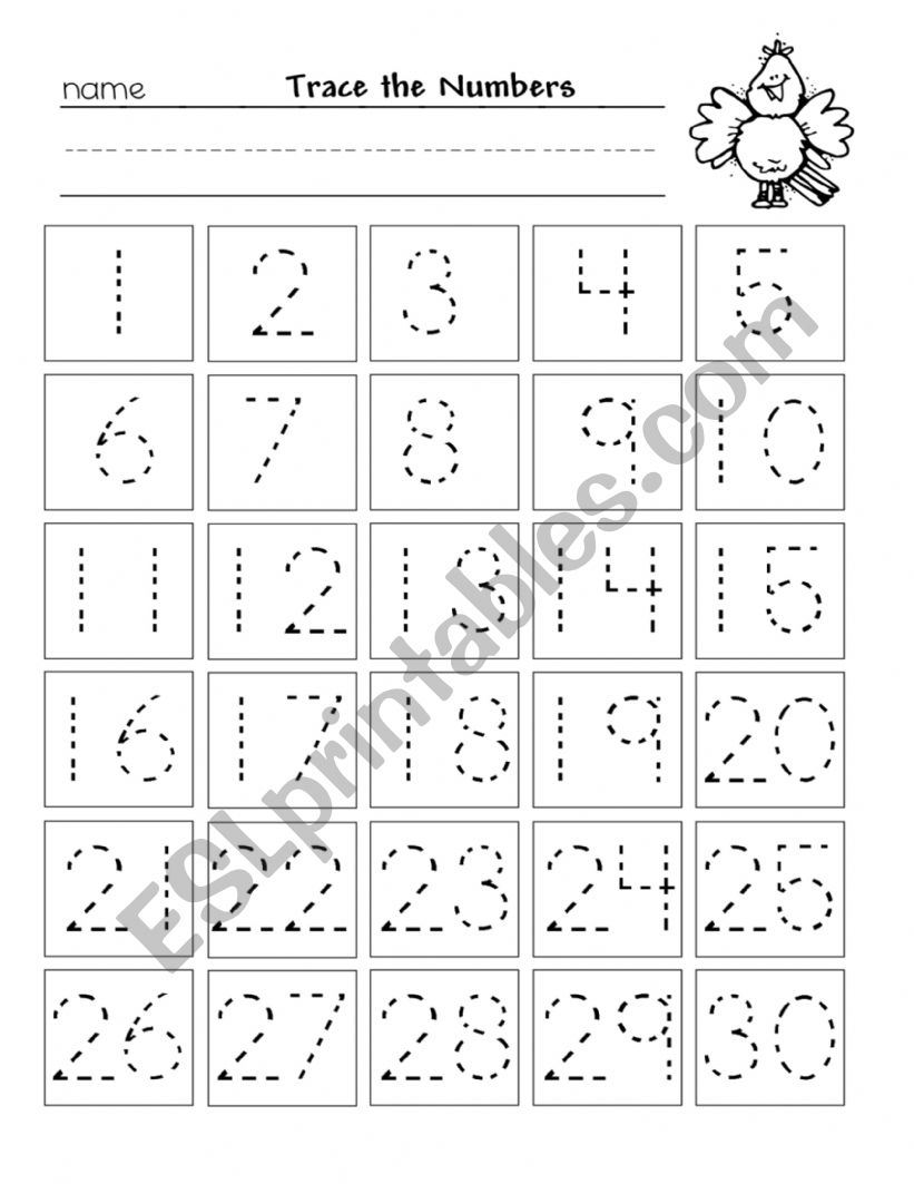 Counting Ice cream scoop worksheet