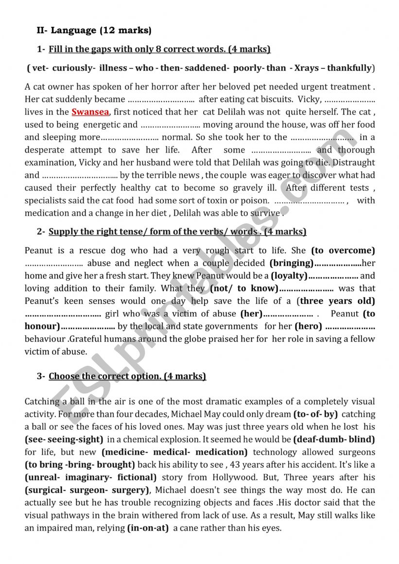 First form  Mid of Term 3 test 