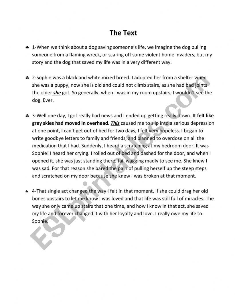 1st form mid-term test n3  worksheet