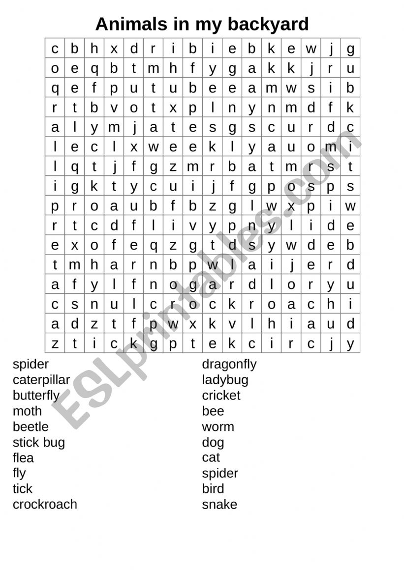 Animals in My Backyard  worksheet
