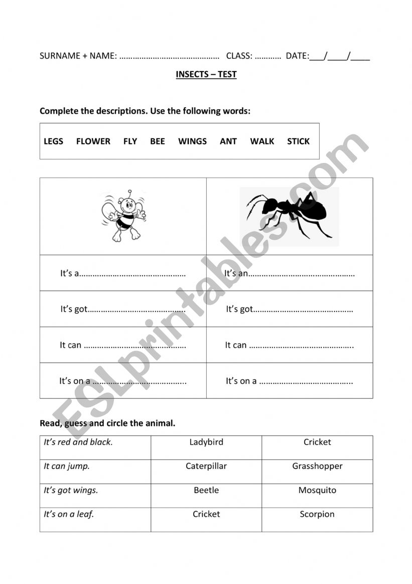 INSECTS test worksheet