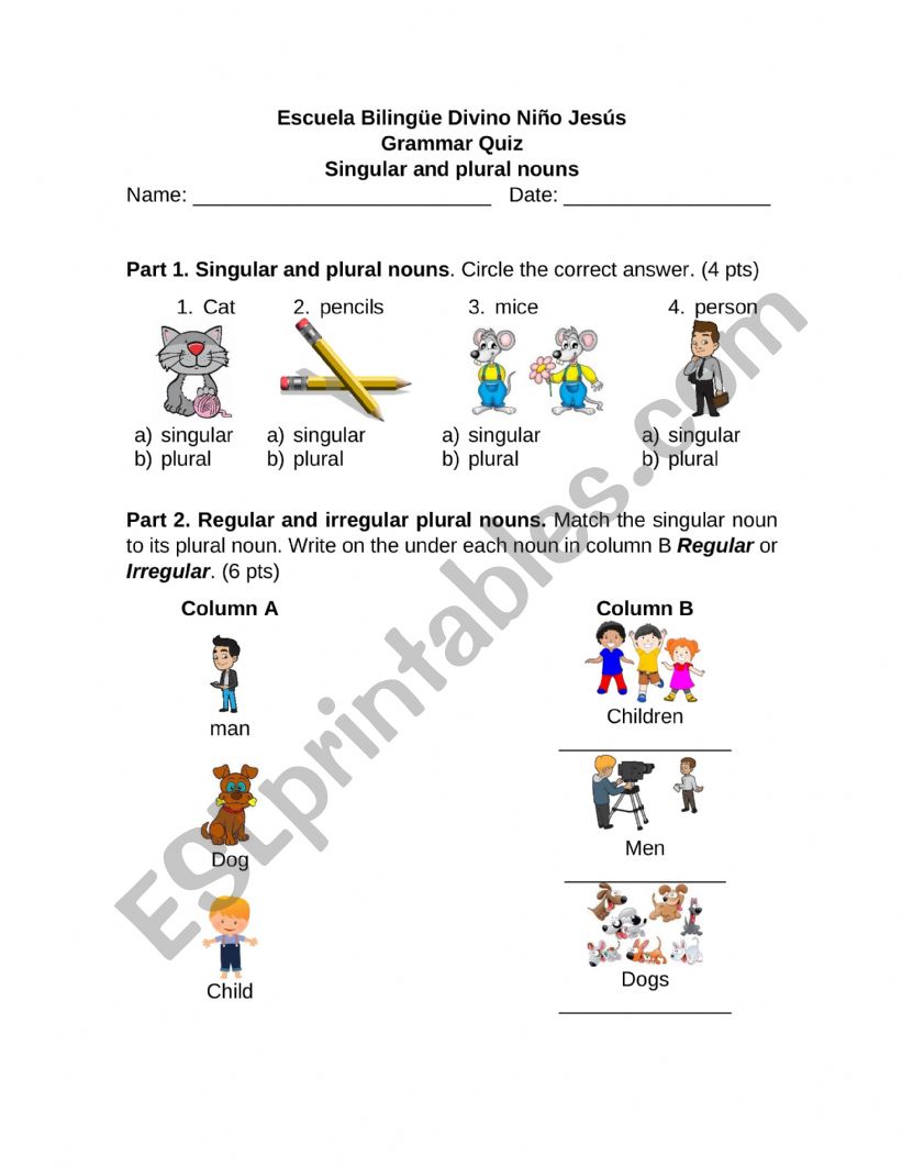 Singular and Plural nouns worksheet