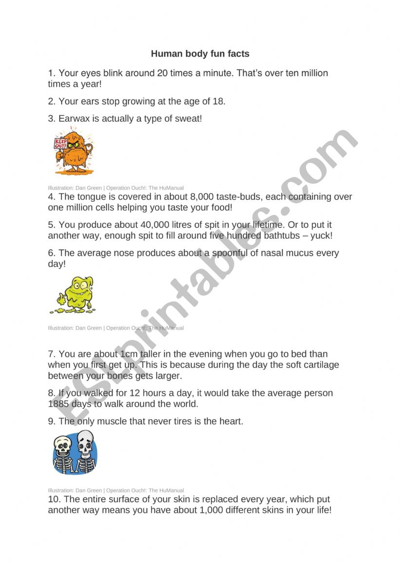 Human body - fun facts worksheet
