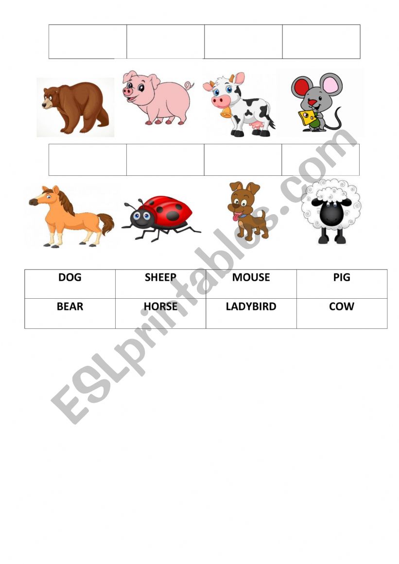 animals  worksheet