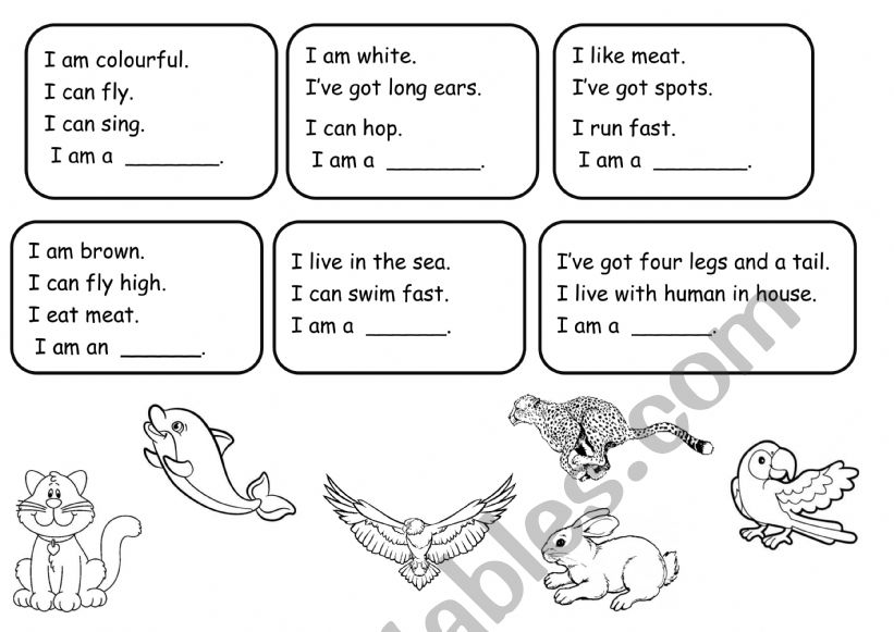 Animal Riddles worksheet