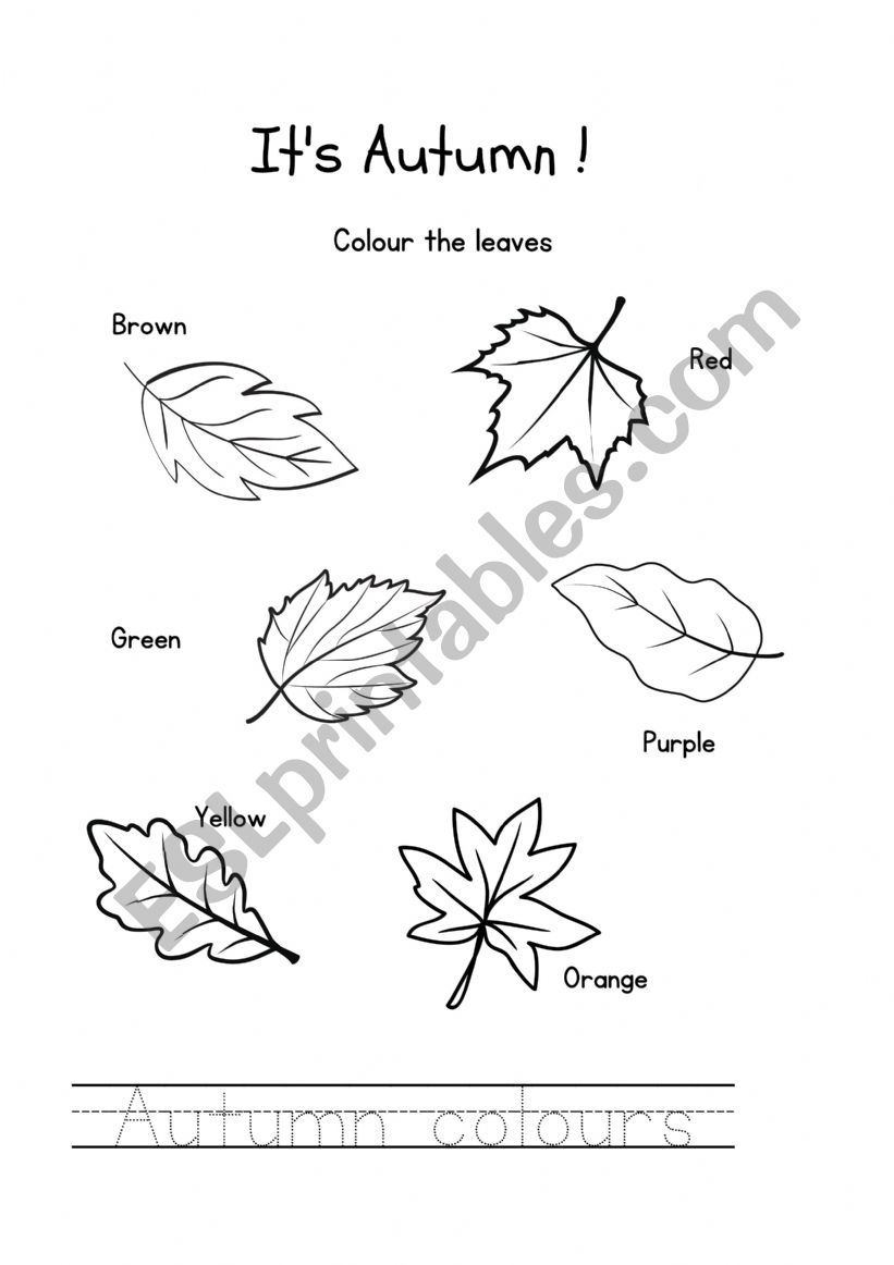 AUTUMN COLOURS worksheet