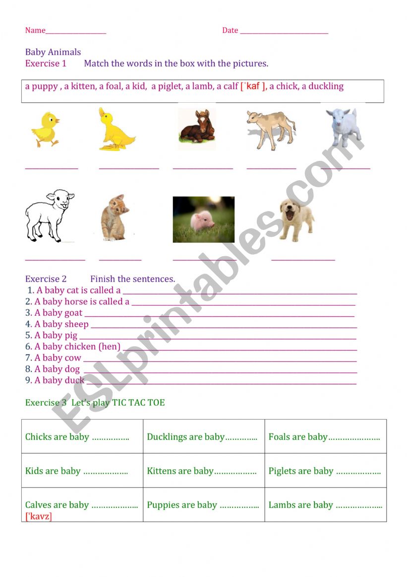 Baby Animals worksheet