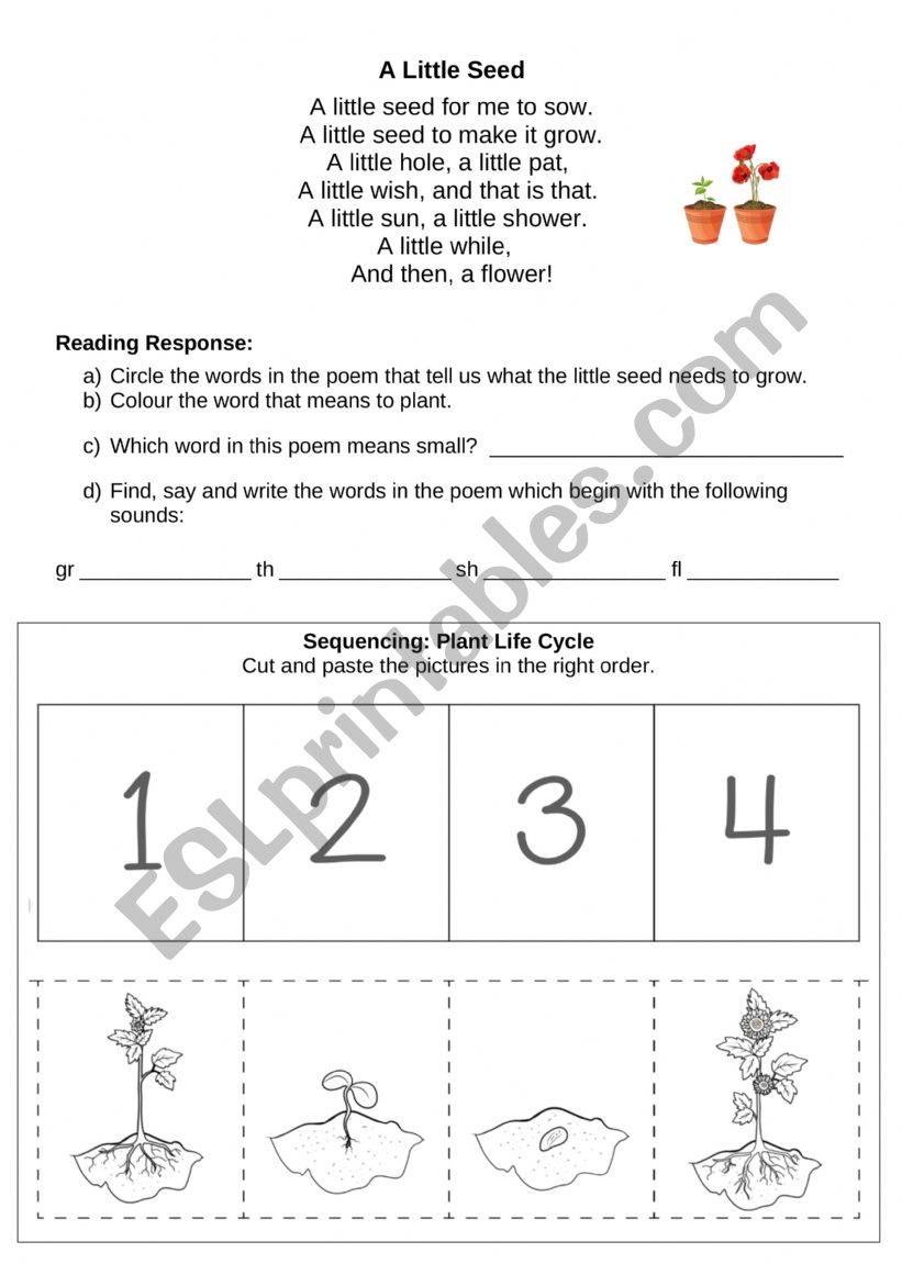 A Little Seed worksheet