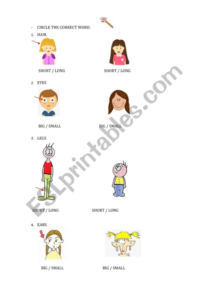 adjectives worksheet