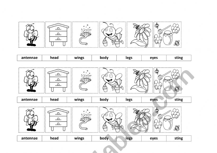 world bee day worksheet