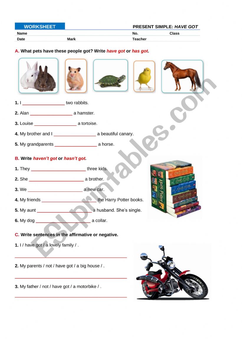 VERB TO HAVE GOT  worksheet