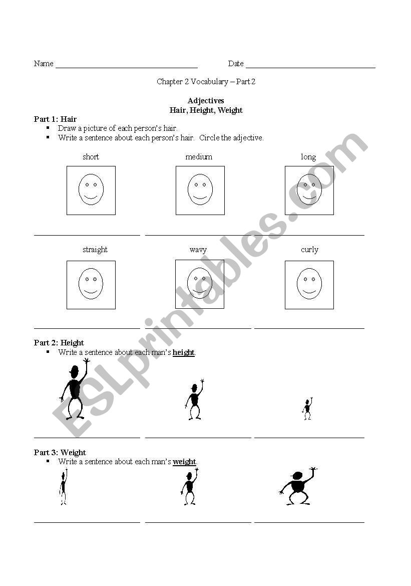 Adjectives: Hair, Height, and Weight