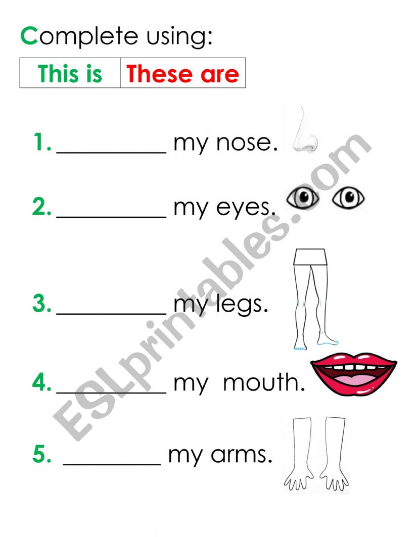 Body Parts- This is These are worksheet